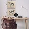 Stupell Industries Beige Holstein Cow Portrait 2 pc Canvas Wall Art Set Design by June Erica Vess